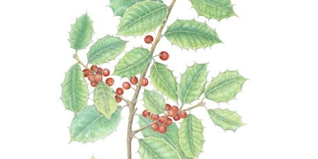 Botanicals in Colored Pencil with Kathie Miranda (ONLINE)