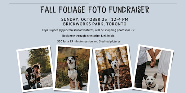 Fall Foliage Foto Fundraiser, October 23 Brickworks