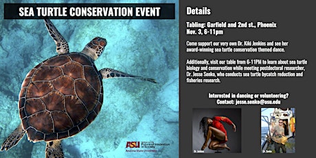 Sea Turtle Conservation Dance and Hands-on Activities primary image