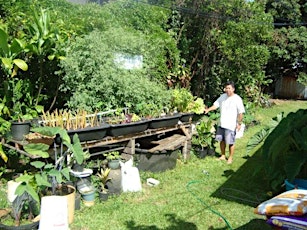 January & February 2014  Aquaponics Garden TOUR (1st & 3rd Sundays) Kahaluu, Oahu primary image