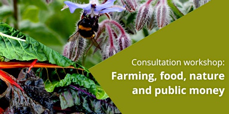 Farming, food, nature and public money - workshop primary image