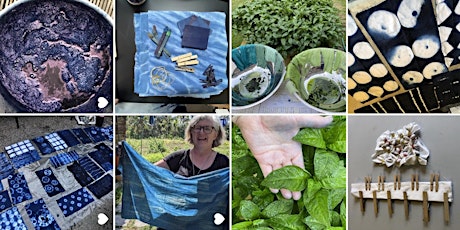 Indigo Dyeing workshop and visit of the dye garden at The Glasgow Botanics primary image