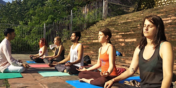 Yoga Beginner Course India