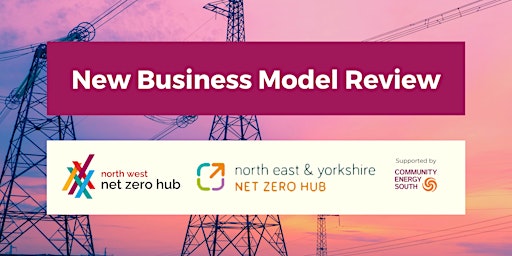 New business model review