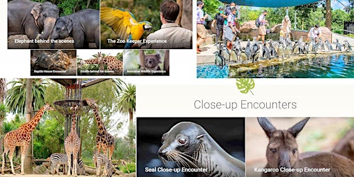 Zoo Meetup & Encountering Tropical Animals by Melbourne Platinum Explorers