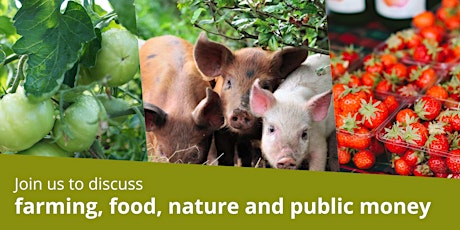 Hauptbild für Farming, food, nature and public money - workshop