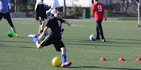 SRFC Veteran's Day Clinic - Tahoe Park primary image
