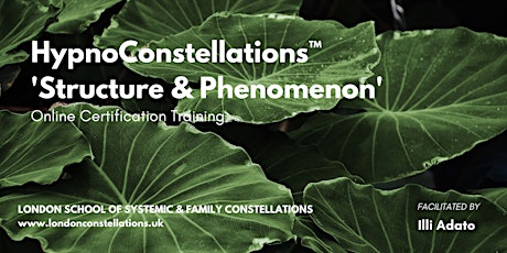 HypnoConstellations™ 'Structure & Phenomenon' Online Certification Training