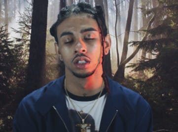 Robb Banks