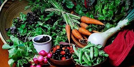 Organic Winter Gardening in Central Florida primary image