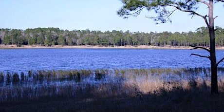 Hernando County Flora and Fauna From The Sandhills to the Sea! primary image