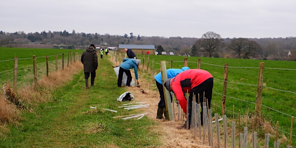Community Hedge Planting Day at Lydling Farm