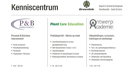 Primaire afbeelding van Organisatiestructuur in jouw organisatie