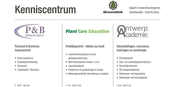 Organisatiestructuur in jouw organisatie