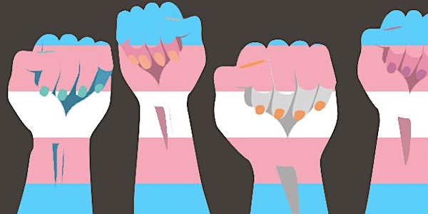Gender in Transition, Power and Discrimination