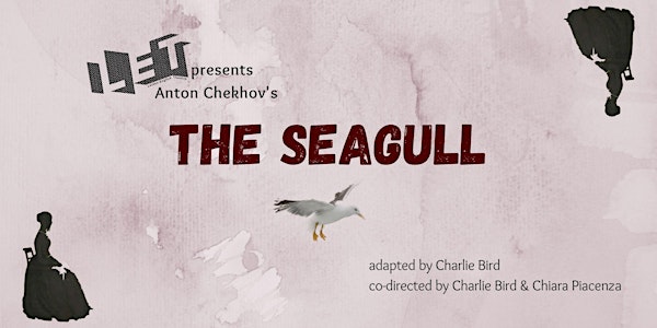 The Seagull