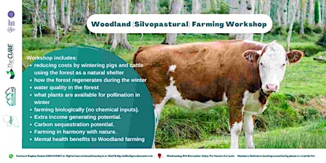 Woodland (Silvopastural) Farming workshop with FiorBhia in County Laois primary image