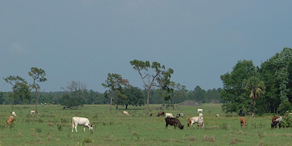 Is a Conservation Easement Right for Your Land? Friday, Jan. 26, 2018