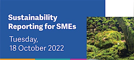 Imagen principal de Sustainability Reporting for SMEs