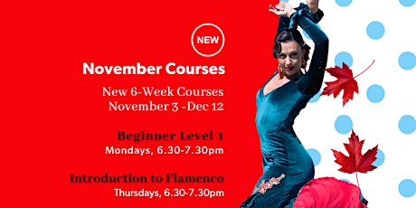 Beginner Flamenco Dance 6-week Course