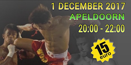 Primaire afbeelding van Muay Thai Kickboks seminar Apeldoorn 