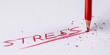 Come gestire lo stress con la Mindfulness? Lezione gratuita