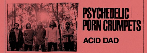 Immagine raccolta per Two Nights with Psychedelic Porn Crumpets & Acid D