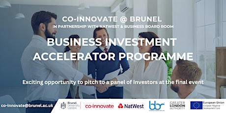 Business Investment Accelerator Programme: Writing an Investment Pitch