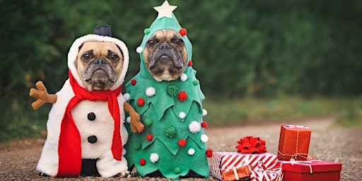 Bring your Dog to see Santa!
