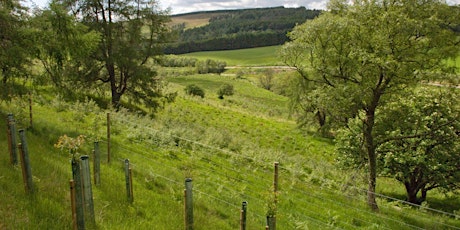 Woodland Creation site visit - North Torrington, Devon primary image