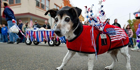 VEO Ambassador Event: The 36th Annual Atlanta Veterans Day Parade & Campus BBQ primary image