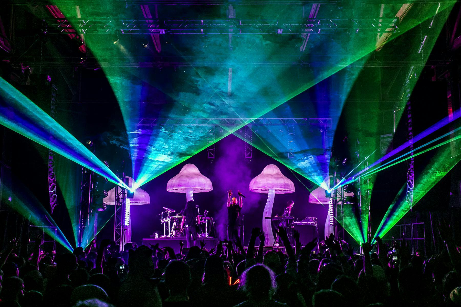 Infected Mushroom