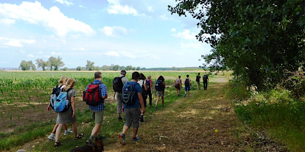 Fr,27.01.23 Wanderdate SingleTreff Musik im Schlosskeller Windecken für 40+