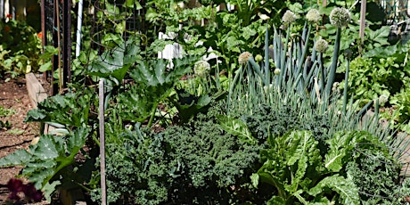 Imagen principal de Growing Vegetables and Herbs at Home