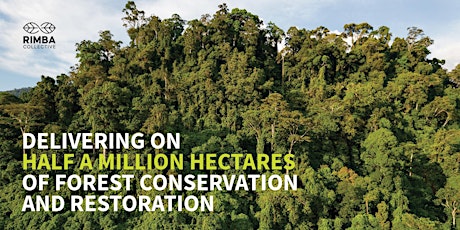 Delivering on Half a Million Hectares of Forest Conservation & Restoration