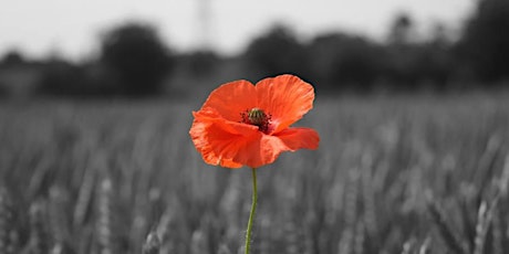 LUX AETERNA Music for Remembrance primary image