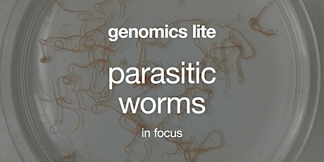 Genomics Lite:  Parasitic Worms in Focus
