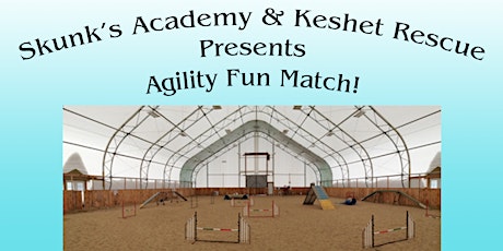 Agility Fun Match primary image