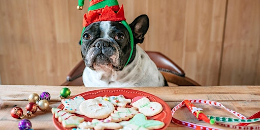 Holiday Dog Cookie Decorating