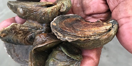Oyster South Industry Symposium 2023