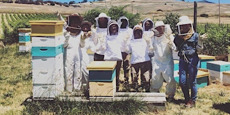 2018 Bee Girl Beekeeping Course primary image