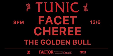 TUNIC + FACET + CHEREE