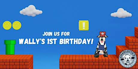 Wally's 1st Birthday Party!