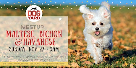 Maltese, Bichon Frise, & Havanese Meetup at the Dog Yard Bar  - Sun, Nov 27 primary image