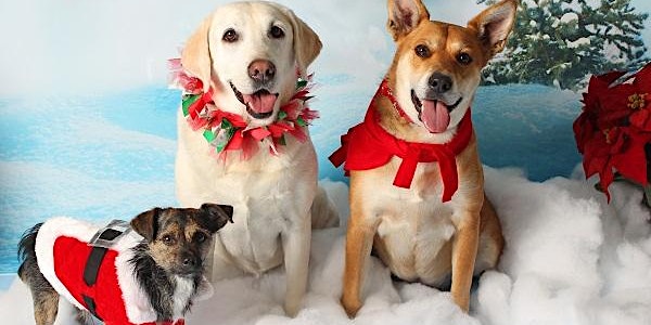 Friends for Life Animal Rescue 2022 Holiday Photo Fundraiser!