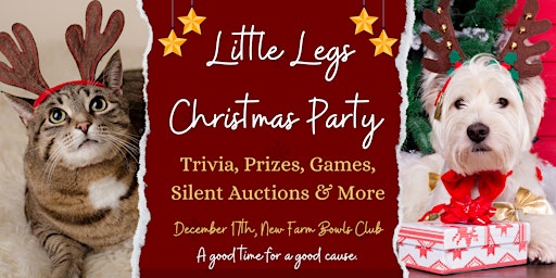 Little Legs Christmas Party