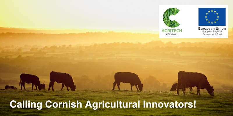 Grazing Innovation Workshop