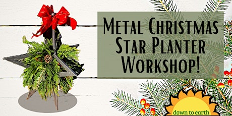 METAL CHRISTMAS STAR PLANTER primary image