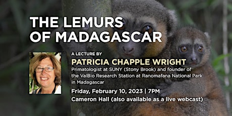 Patricia Chapple Wright - The Lemurs of Madagascar