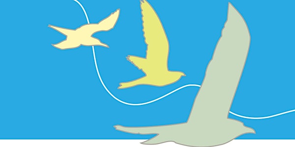 Webinar: Monitoring & Mapping Great Lakes Waterbirds to Support Management